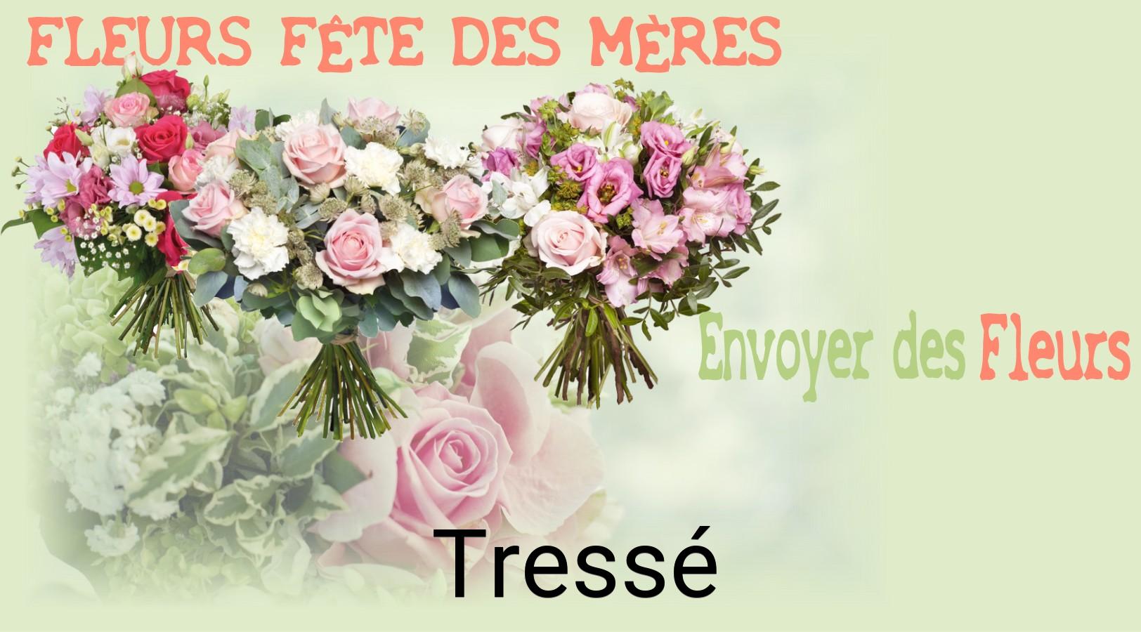 Bouquet de Fête des Mères livré à Tressé